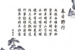 英雄联盟总决赛赛程-绿茵场上的东方智慧，乌兹别克斯坦的节奏革命，莱万多夫斯基的封神之夜