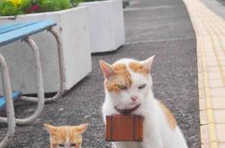 LOL赛事-从饮水机到聚光灯，那个改写历史的传奇之夜