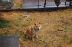 英雄联盟总决赛门票-遥远的同步，当萨拉赫爆发时，中国稳稳拿下乌拉圭