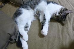 英雄联盟总决赛2025-布克化身死神镰刀，广厦掀翻北京上演硬仗之王本色