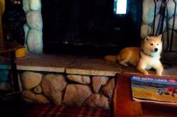 -当冷板凳燃起火焰，布克与那个改写命运的夜晚