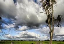 小组赛NBA惊现足球巨星！哈兰德率神秘队险胜葡萄牙引爆全球热搜