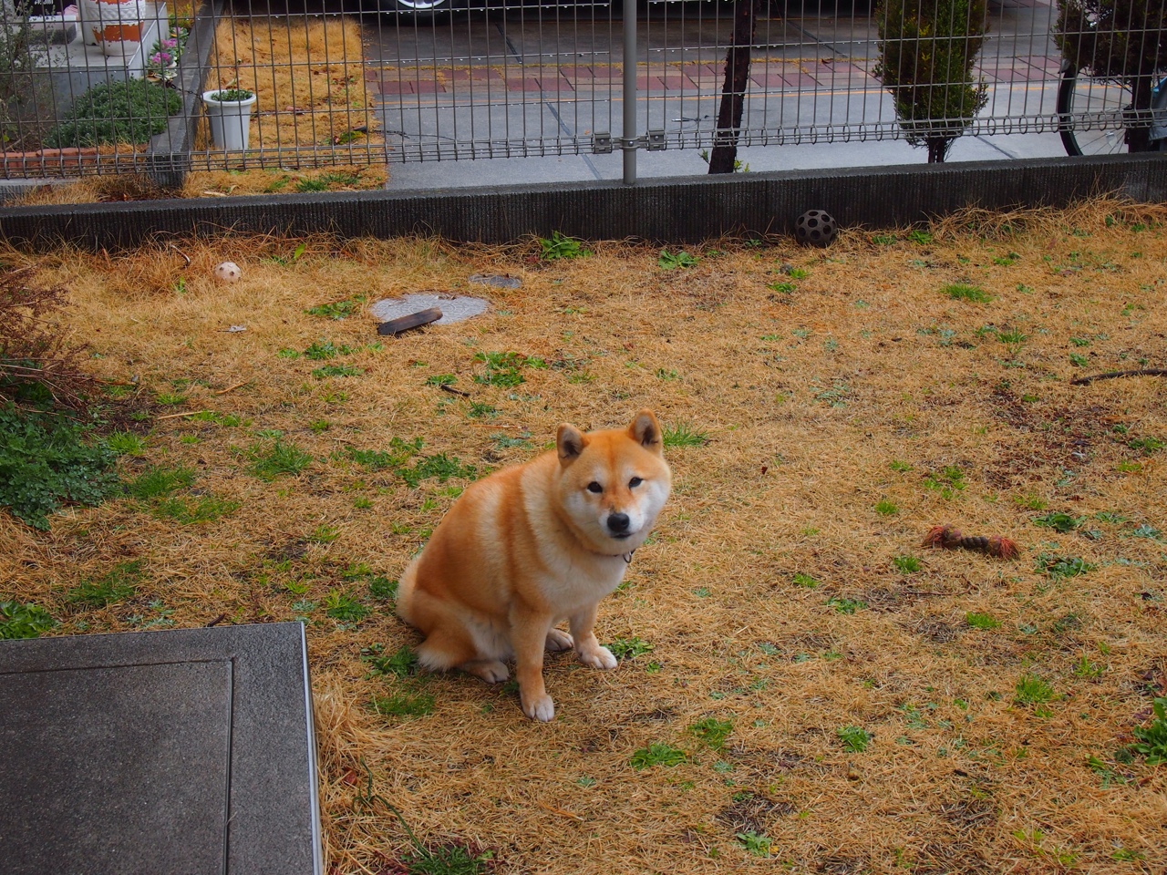 遥远的同步,当萨拉赫爆发时,中国稳稳拿下乌拉圭