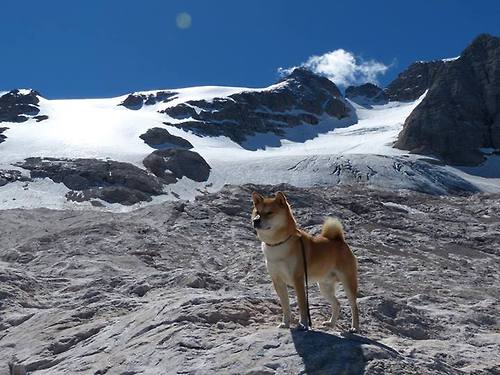 绝境狂澜,当奥斯梅恩扼住命运的咽喉,勒沃库森如何从地狱边缘抢回呼吸权?