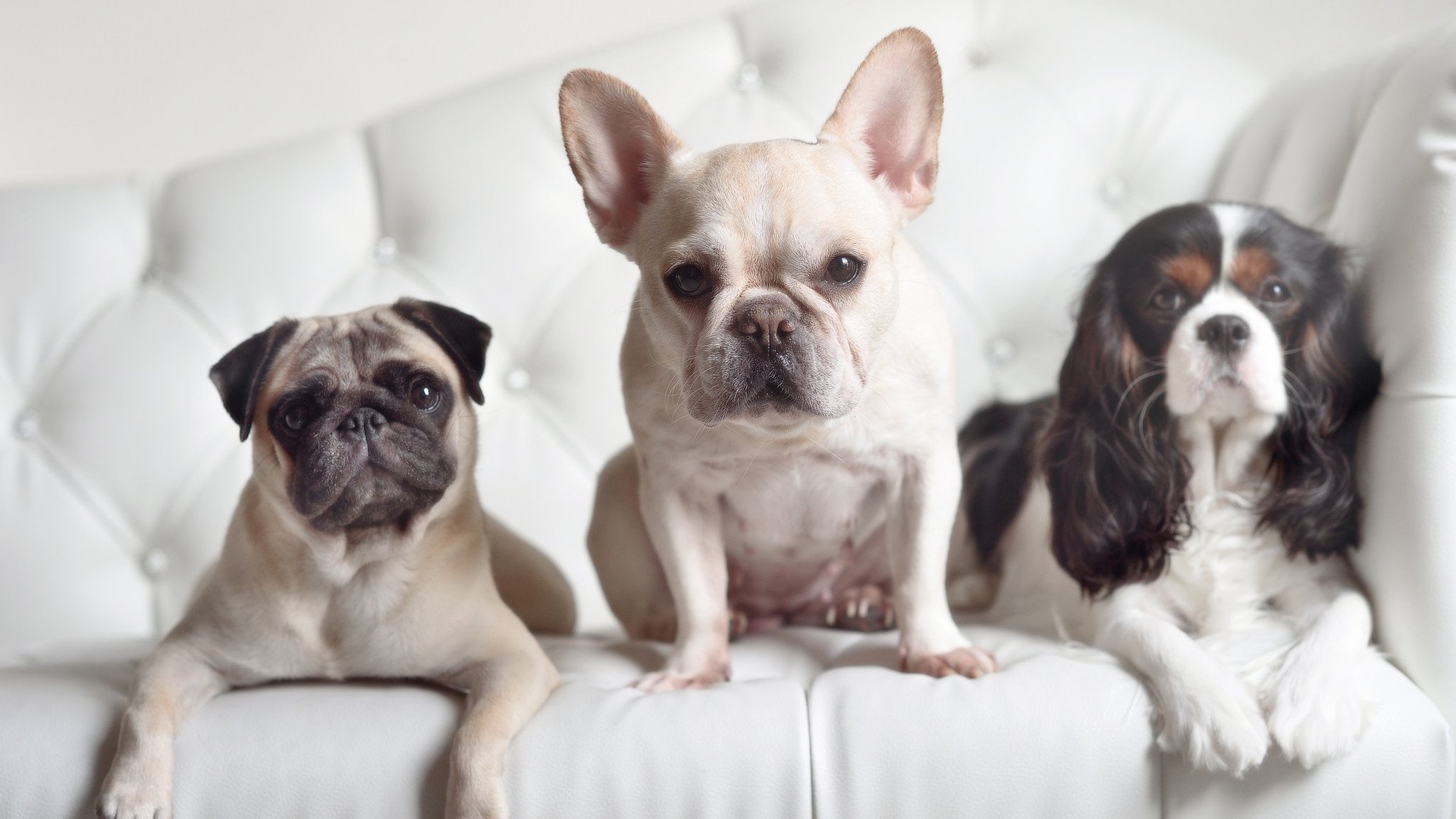 今夜，杜兰特的光剑切开F1赛道