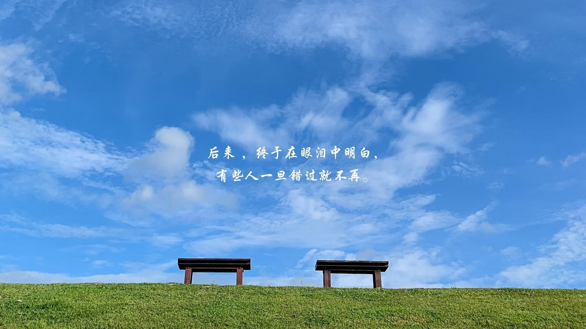 黑马撕裂防线的风暴,克瓦拉茨赫利亚爆发背后,新西兰如何在巅峰对决中胜出中国