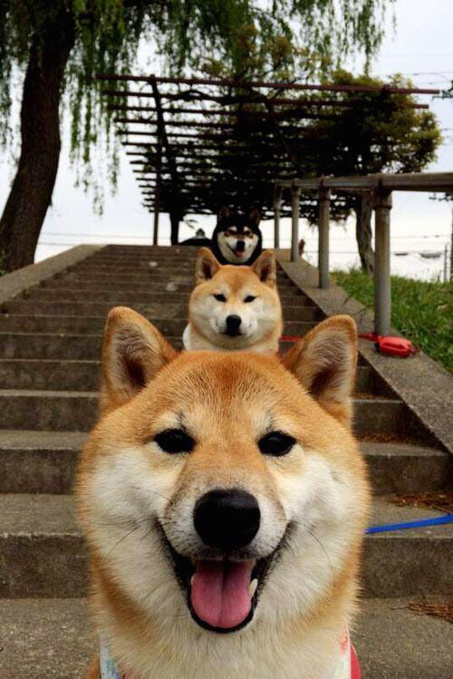 关键先生诞生!马刺险胜老鹰,新生代巨星复制字母哥时刻