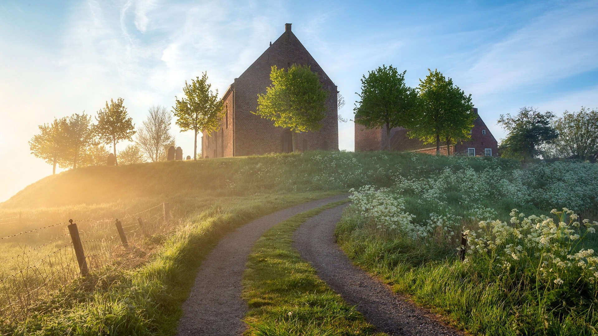 逆光之刃，当贝恩在沉默中提前杀死悬念