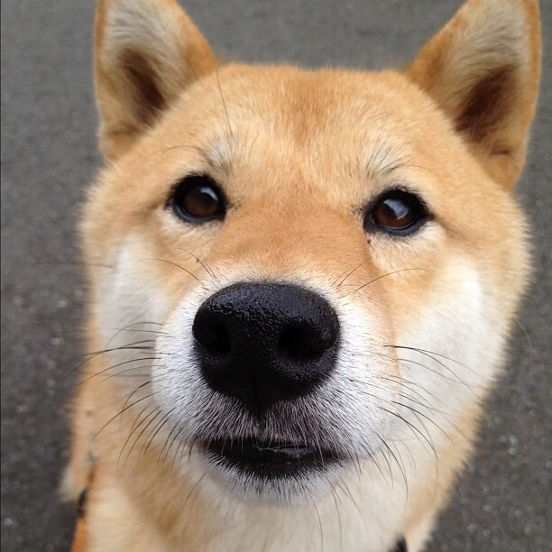 戈壁风暴席卷赛场，新疆队终结火箭升空，班凯罗式关键先生诞生