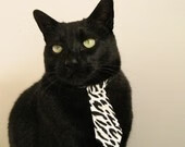 万箭齐发!广厦队火力全开压制热火,冷血贝恩成关键先生