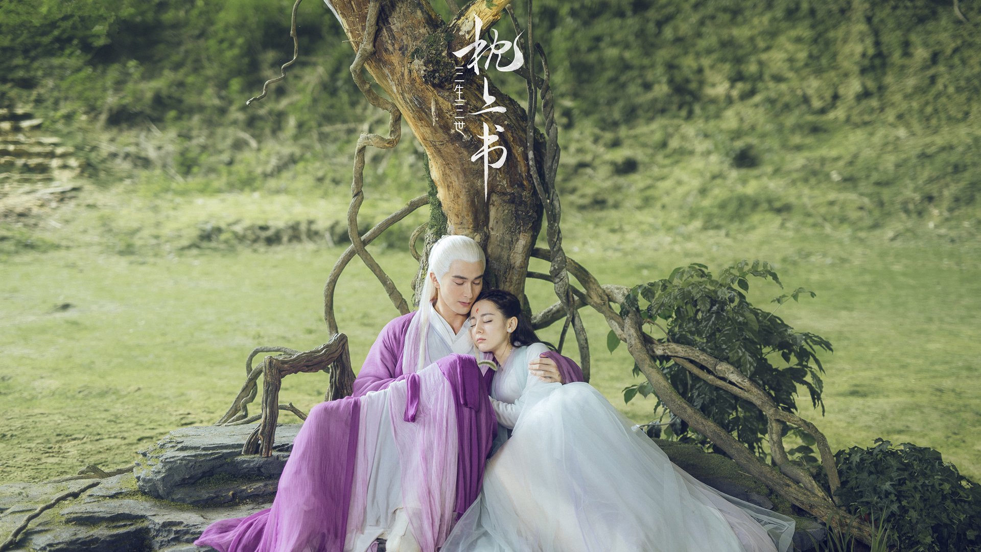 节奏之主，武切维奇如何在篮网对阵凯尔特人的比赛中完全掌控全局