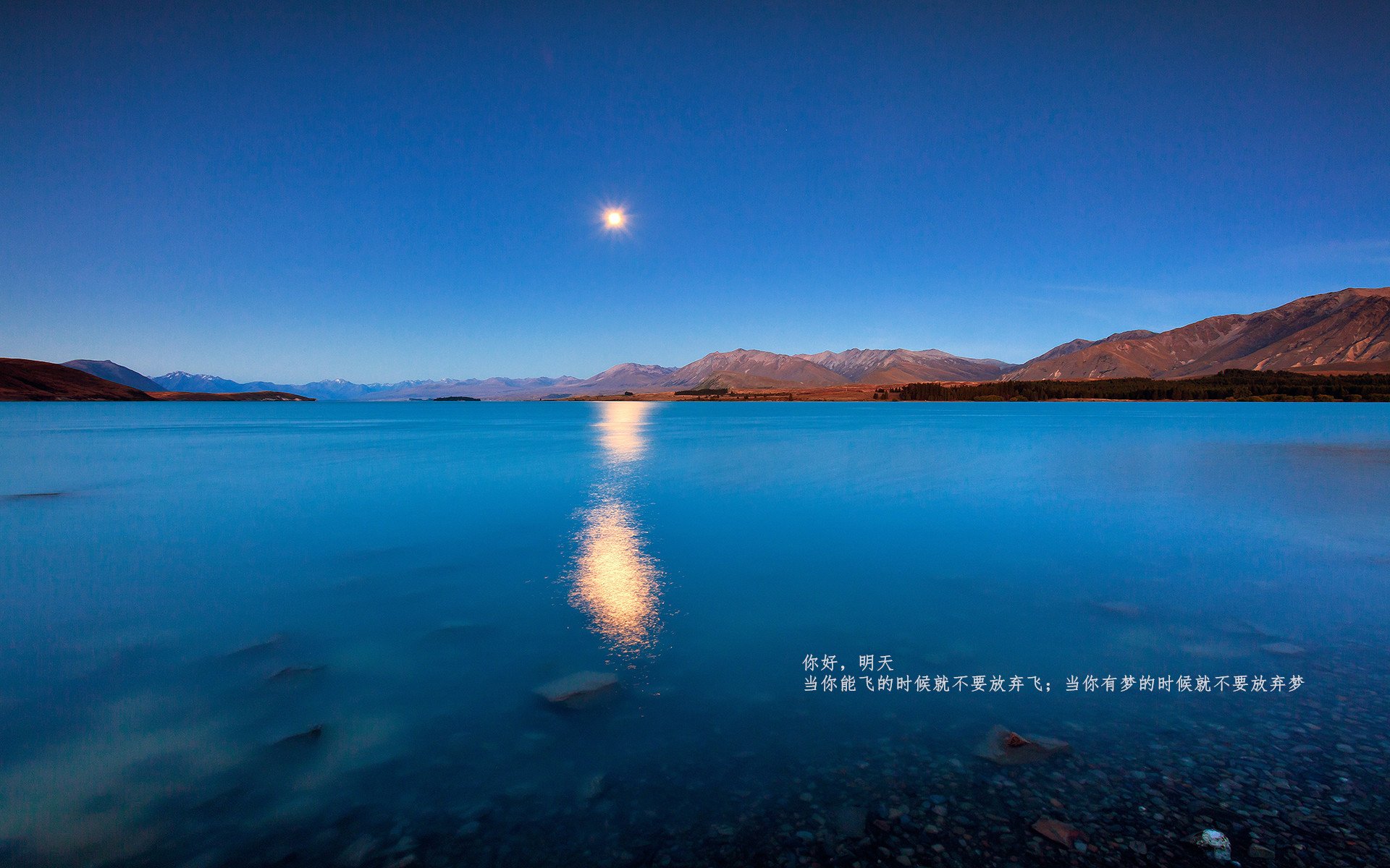 史诗级对决!利物浦vs加拿大的隐藏胜负手,恩佐的终极教科书表现