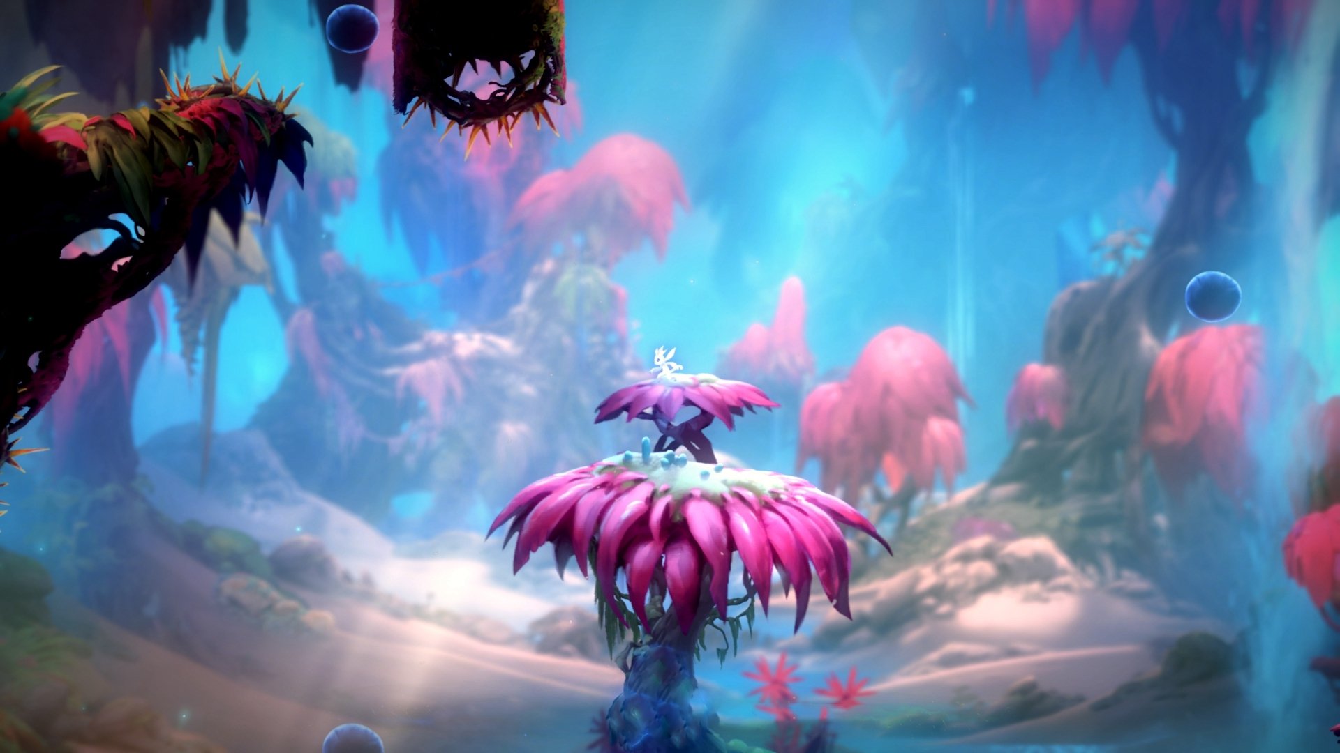 极速之心，黄喜灿的夜赛救赎