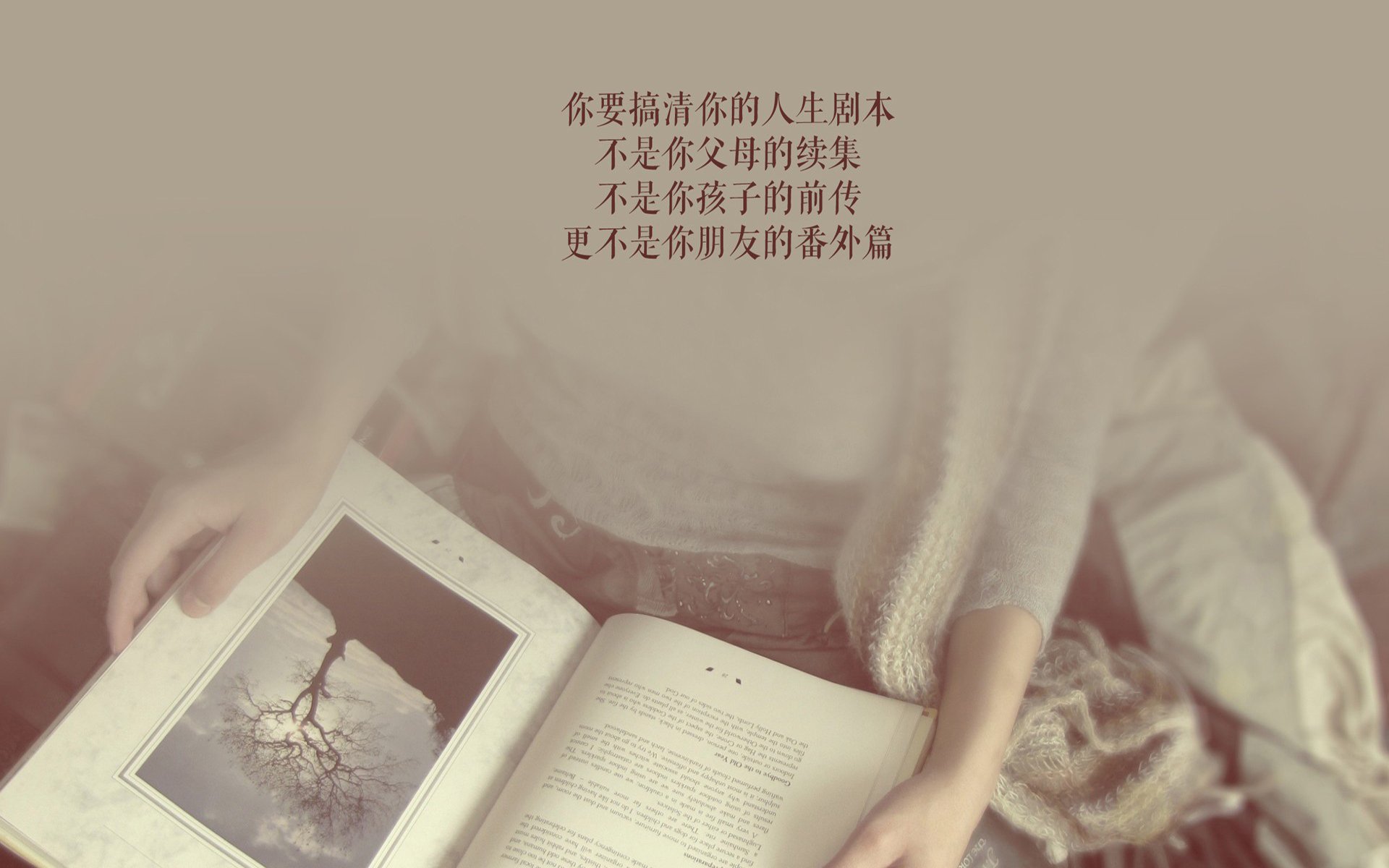 孤胆英雄与桑巴狂舞，2026世界杯关键战，德布劳内致命一击背后的唯一性