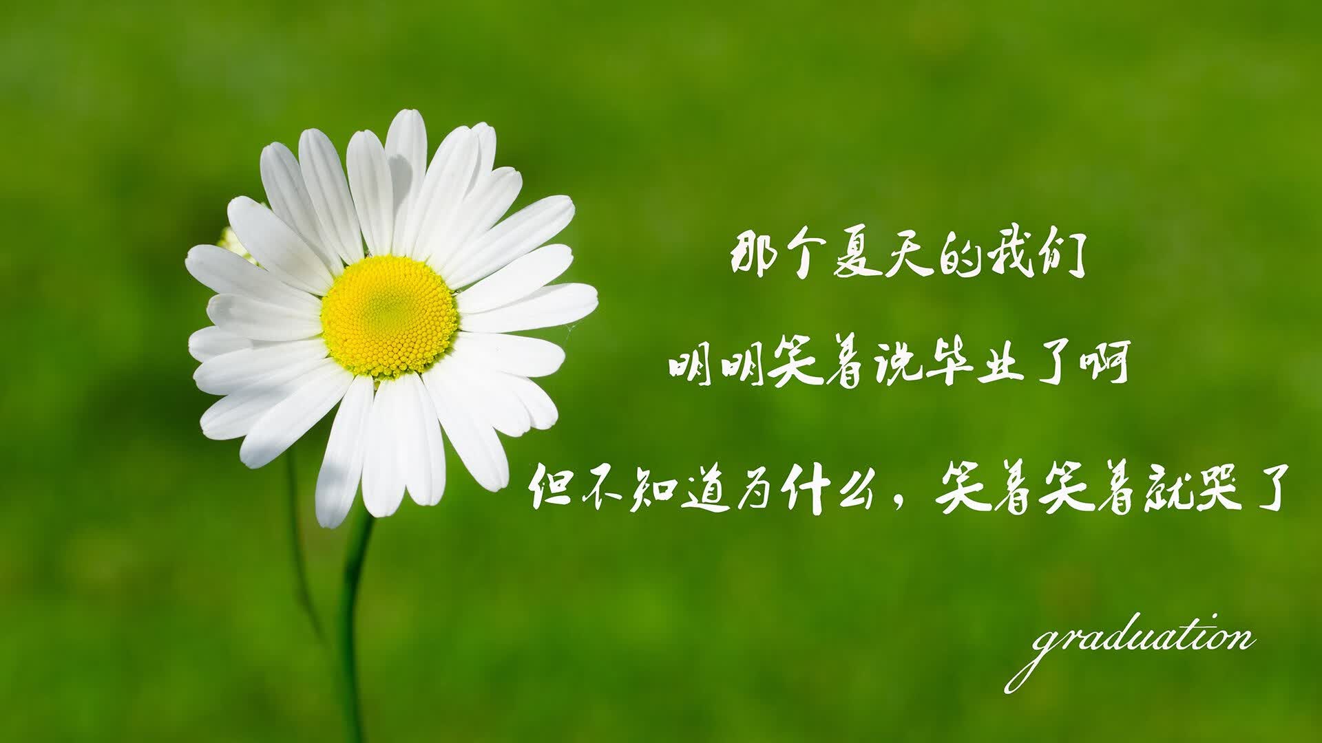 2026世界杯C组生死夜,奥地利铁骑踏碎沙特,阿方索·戴维斯致命一剑封喉!