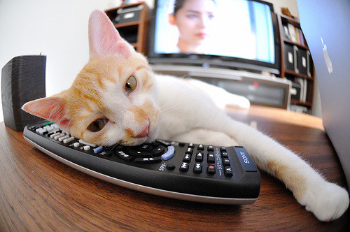 百战之师,2026世界杯F组生死战,乌拉圭以钢铁意志力克智利,德容王者归来带队绝境突围
